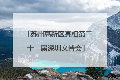 苏州高新区亮相第二十一届深圳文博会