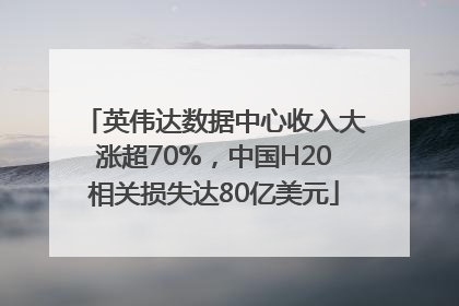 英伟达数据中心收入大涨超70%，中国H20相关损失达80亿美元