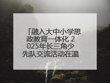 融入大中小学思政教育一体化 2025年长三角少先队交流活动在温岭举办