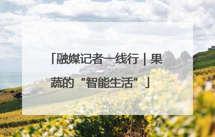 融媒记者一线行｜果蔬的“智能生活”
