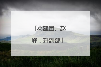 葛建团、赵峰，升副部