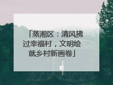 蒸湘区：清风拂过幸福村，文明绘就乡村新画卷