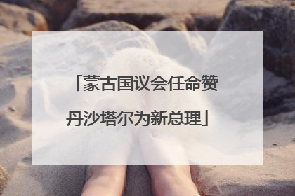 蒙古国议会任命赞丹沙塔尔为新总理
