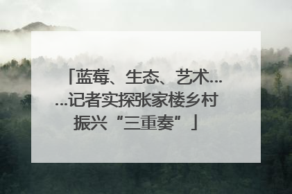 蓝莓、生态、艺术……记者实探张家楼乡村振兴“三重奏”