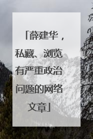薛建华，私藏、浏览有严重政治问题的网络文章