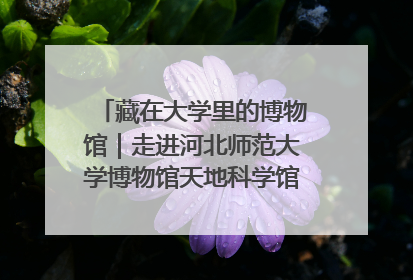 藏在大学里的博物馆｜走进河北师范大学博物馆天地科学馆：在校园里赴一场“宇宙之约”