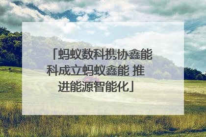 蚂蚁数科携协鑫能科成立蚂蚁鑫能 推进能源智能化