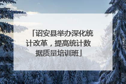 诏安县举办深化统计改革，提高统计数据质量培训班