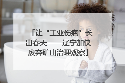 让“工业伤疤”长出春天——辽宁加快废弃矿山治理观察