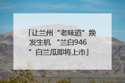 让兰州“老味道”焕发生机 “兰白946”白兰瓜即将上市