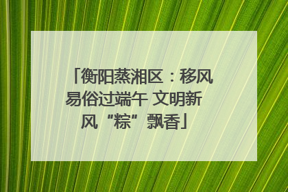 衡阳蒸湘区：移风易俗过端午 文明新风“粽”飘香