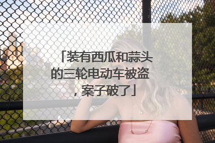 装有西瓜和蒜头的三轮电动车被盗，案子破了