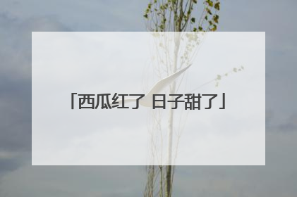 西瓜红了 日子甜了