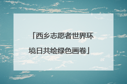 西乡志愿者世界环境日共绘绿色画卷