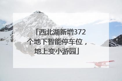 西北湖新增372个地下智能停车位，地上变小游园