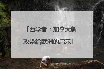 西学者：加拿大新政带给欧洲的启示