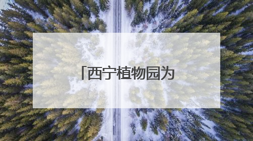 西宁植物园为雪豹“凌小蛰”庆祝“新生”