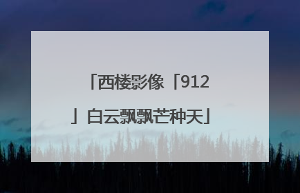 西楼影像「912」白云飘飘芒种天