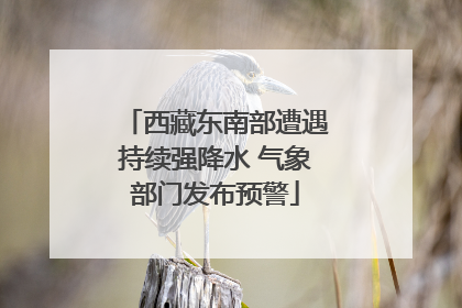 西藏东南部遭遇持续强降水 气象部门发布预警