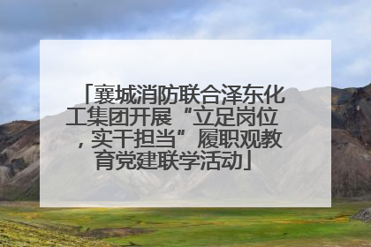 襄城消防联合泽东化工集团开展“立足岗位，实干担当”履职观教育党建联学活动