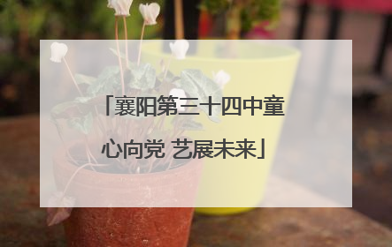 襄阳第三十四中童心向党 艺展未来