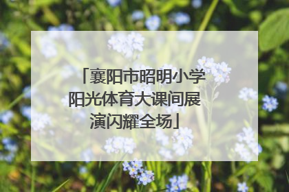 襄阳市昭明小学阳光体育大课间展演闪耀全场