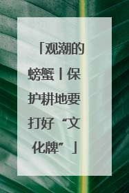 观潮的螃蟹丨保护耕地要打好“文化牌”