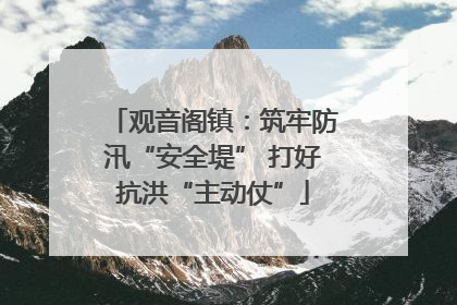 观音阁镇：筑牢防汛“安全堤” 打好抗洪“主动仗”
