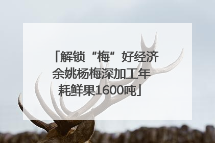 解锁“梅”好经济 余姚杨梅深加工年耗鲜果1600吨