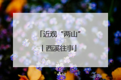 近观“两山”丨西溪往事