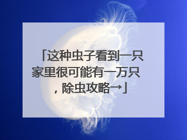 这种虫子看到一只家里很可能有一万只，除虫攻略→