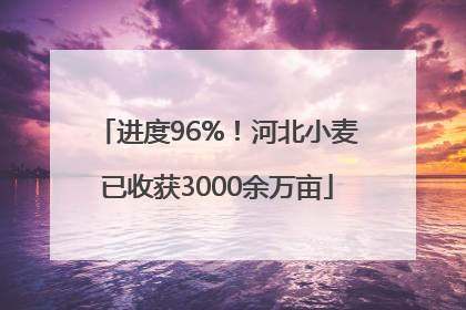 进度96%！河北小麦已收获3000余万亩