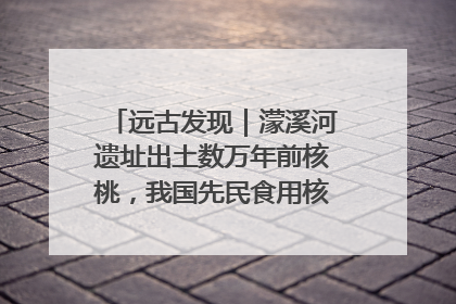 远古发现｜濛溪河遗址出土数万年前核桃，我国先民食用核桃历史大幅提前