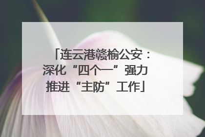 连云港赣榆公安：深化“四个一”强力推进“主防”工作
