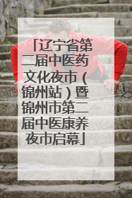 辽宁省第二届中医药文化夜市（锦州站）暨锦州市第二届中医康养夜市启幕