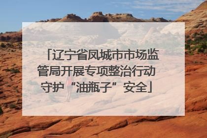 辽宁省凤城市市场监管局开展专项整治行动守护“油瓶子”安全