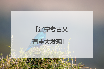 辽宁考古又有重大发现
