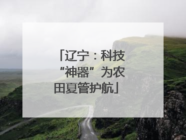 辽宁：科技“神器”为农田夏管护航