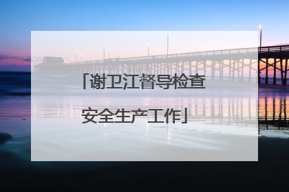 谢卫江督导检查安全生产工作