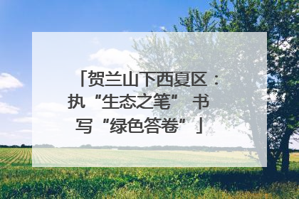 贺兰山下西夏区：执“生态之笔” 书写“绿色答卷”