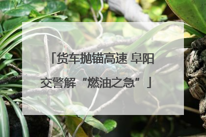 货车抛锚高速 阜阳交警解“燃油之急”