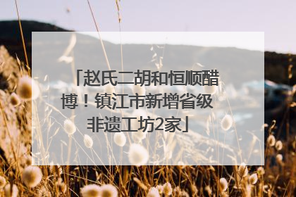 赵氏二胡和恒顺醋博！镇江市新增省级非遗工坊2家