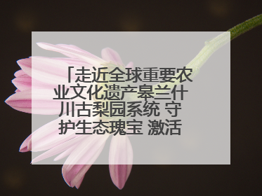 走近全球重要农业文化遗产皋兰什川古梨园系统 守护生态瑰宝 激活发展动能