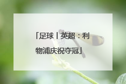 足球丨英超：利物浦庆祝夺冠