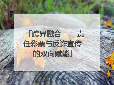 跨界融合——责任彩票与反诈宣传的双向赋能