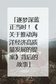 逐梦深蓝正当时！《关于推动海洋经济高质量发展的提案》背后的故事