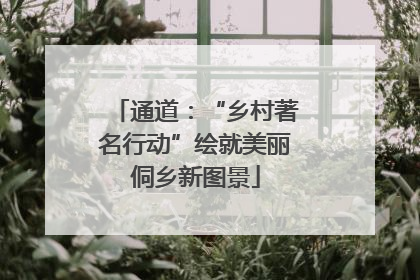 通道：“乡村著名行动”绘就美丽侗乡新图景