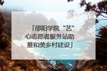 邵阳学院“艺”心志愿者服务站助推和美乡村建设