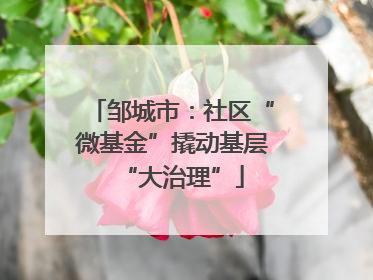 邹城市：社区“微基金”撬动基层“大治理”