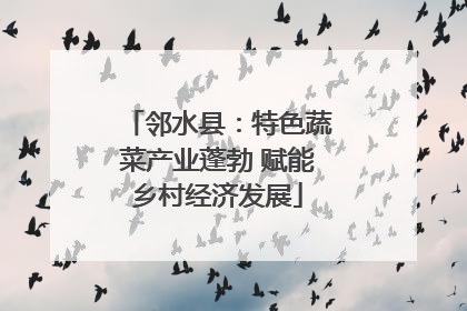 邻水县：特色蔬菜产业蓬勃 赋能乡村经济发展